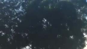 La FAA y las autoridades locales, investigan las causas del choque.