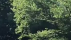 El cuerpo se descubrió esta mañana.