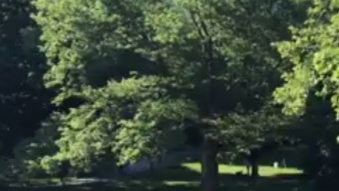 El cuerpo se descubrió esta mañana.