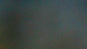 Las autoridades todavía desconocen de qué tipo de serpiente se trata.