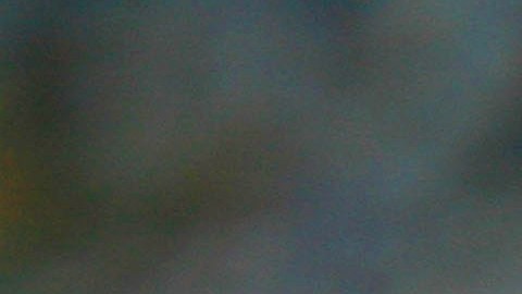 Las autoridades todavía desconocen de qué tipo de serpiente se trata.