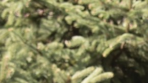 Diana Ayala dialoga con adultos mayores de su distrito.