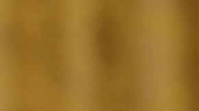 El presidente tuiteó sobre el proceso de elección interna de los demócratas.