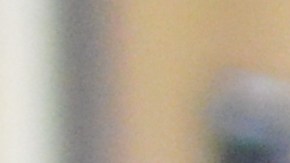 INCLUYEnyc también realiza actividades de esparcimiento, como el Summer Fun & More, para las familias con integrantes con alguna discapacidad.