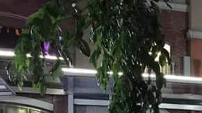 El ataque dejó varias personas heridas.