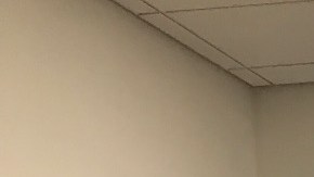 Luz María Doria con el grupo de sobrevivientes de Pulse.