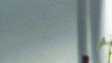 En la actualidad nueve estados otorgan licencias de conducción a indocumentados