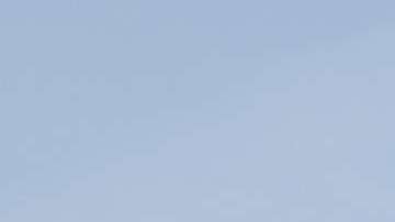 Las becas serán entregadas a través del Concejo de Federaciones Mexicanas (COFEM)