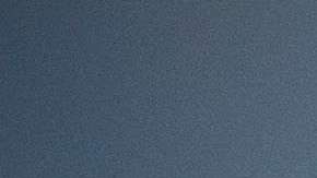 Desde que  presidente Trump asumió el cargo, el número de detenciones de indocumentados ha aumentado un 40 por ciento en NY