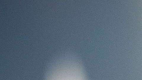 Desde que  presidente Trump asumió el cargo, el número de detenciones de indocumentados ha aumentado un 40 por ciento en NY