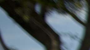 La lucha de la comunidad LGBTQ sigue adelante