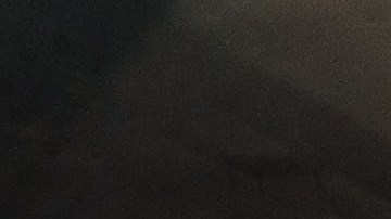 MTA informó que el descarrilamiento no fue una falla del sistema,sino humana.