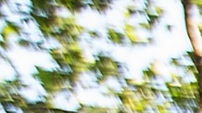 Defensores de inquilinos aseguran que las pérdidas se concentran en zonas ricas de Manhattan.