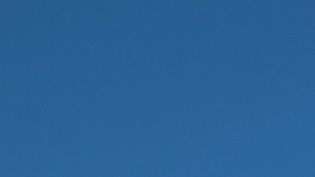 Los jóvenes reportan actos discriminatorios en su contra.