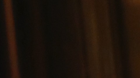 Donald Trump Jr. defiende a su padre en Twitter.