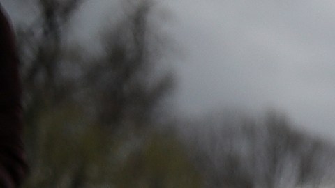 Las tribus han realizado protestas frente a la Casa Blanca.