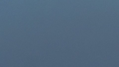 La propuesta ya fue presentada al Congreso.