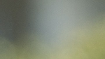 La supremacía del honor es una creencia cada vez más extendida en los círculos del presidente.