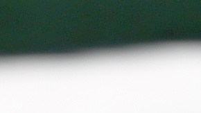 Reince Priebus podría ser despedido en la "purga" de Trump el 4 de julio.