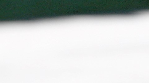 Reince Priebus podría ser despedido en la "purga" de Trump el 4 de julio.