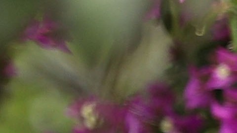 La primera ministra Theresa May y el presidente Trump.