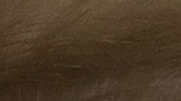 El presidente Trump niega la existencia del cambio climático.