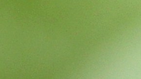 El presidente Trump considera que el "Rusiagate" es una "cacería de brujas".