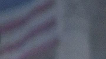 El presidente Trump hizo referencia a las indagatorias a su administración.