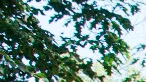 Los grupos tienen presencia en casi todo el país.