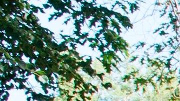 Los grupos tienen presencia en casi todo el país.