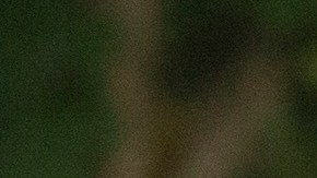 Los padres de Melania Trump estuvieron en la Casa Blanca para el cumpleaños del presidente. / FOTO: Chris Kleponis-Pool/Getty Images