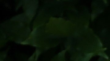 El presidente Trump recordó la masacre en Orlando, Florida.