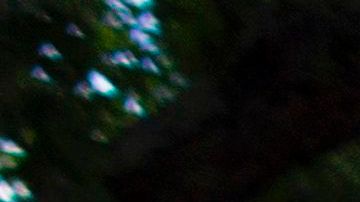 Kayla Matos y Nisa Mickens desaparecieron en septiembre de 2016 y fueron halladas muertas un día después.