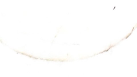 Una serpiente de raza desconocida anda suelta por Nueva York.