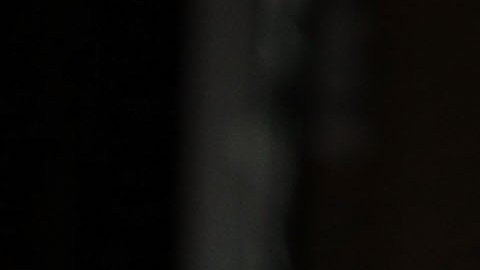 Jared Kushner es parte de la investigación por el "Rusiagate".