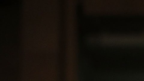 Oficiales del Departamento de Seguridad Nacional reconocieron que hubo ataques cibernéticos en 21 estados.