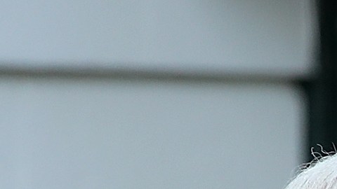 El presidente Trump y la primera dama recibieron al primer ministro indio en la Casa Blanca.