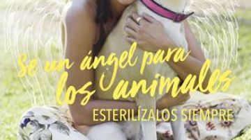 La actriz mexicana es la nueva cara de la campaña de PETA a favor de la esterilización de los animales.