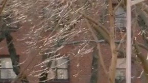 La Policía de barrio es adicional a la vigilancia regular en cada zona.