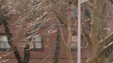 La Policía de barrio es adicional a la vigilancia regular en cada zona.