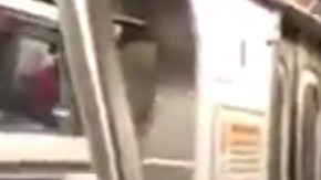 Varios pasajeros del tren se subieron a los asientos del Subway por culpa de un ratón.