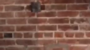 Edward James Olmos y Moe recuerdan que los fuegos artificiales pueden espantar a perros y gatos.