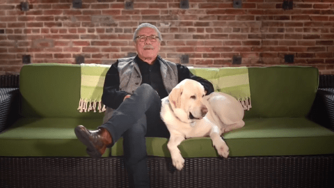 Edward James Olmos y Moe recuerdan que los fuegos artificiales pueden espantar a perros y gatos.