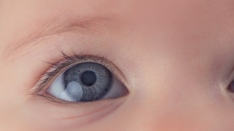 ojos bebe