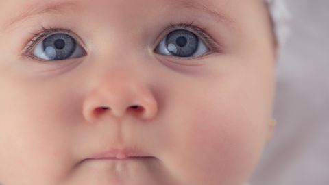 ojos bebe