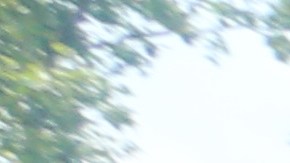 Ecuatoriana Laura Espinoza con su hija, Britney y Telma Valdez (con la sombrilla). Concejal Carlos Menchaca y activistas de organizaciones para la ayuda al inmigrante piden por nuevas leyes para protegera personas con ordenes de deportacion.