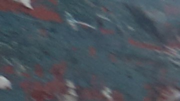 Vendedor de artesanias, Segundo Perez. Alcalde Bill de Blasio pasara la semana en el condado de Queens.