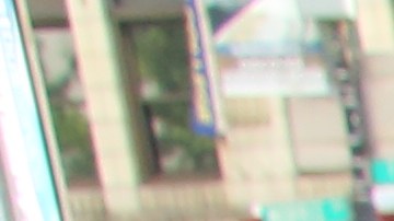 Rosa Garcia. Dominicanos en el Bronx.