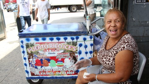 Rosa Garcia. Dominicanos en el Bronx.