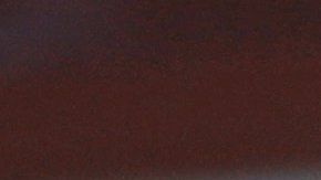 Chestnut ganó el concurso tras comer 72 perritos calientes.